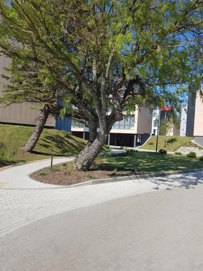 Apartamentai Su Vaizdu I Jura Połąga Zewnętrze zdjęcie